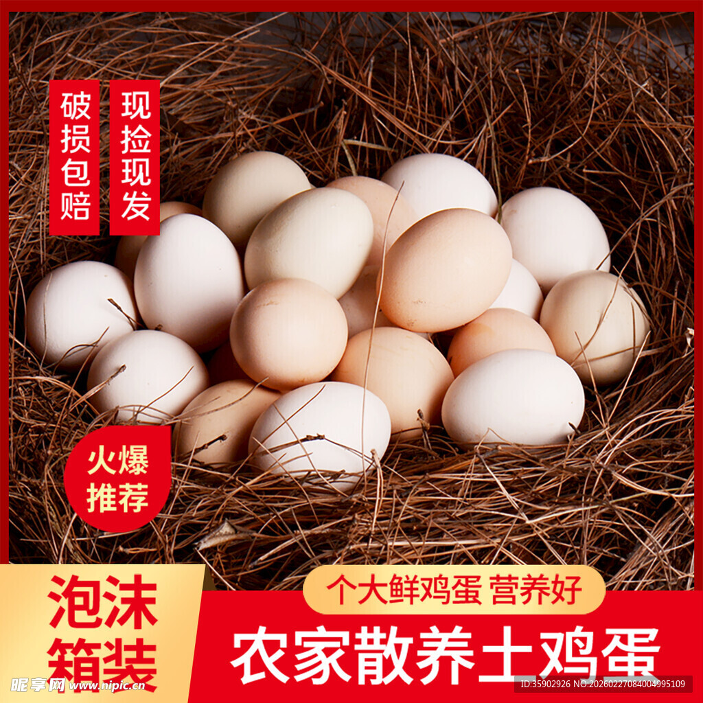 农家散养土鸡蛋泡沫箱装