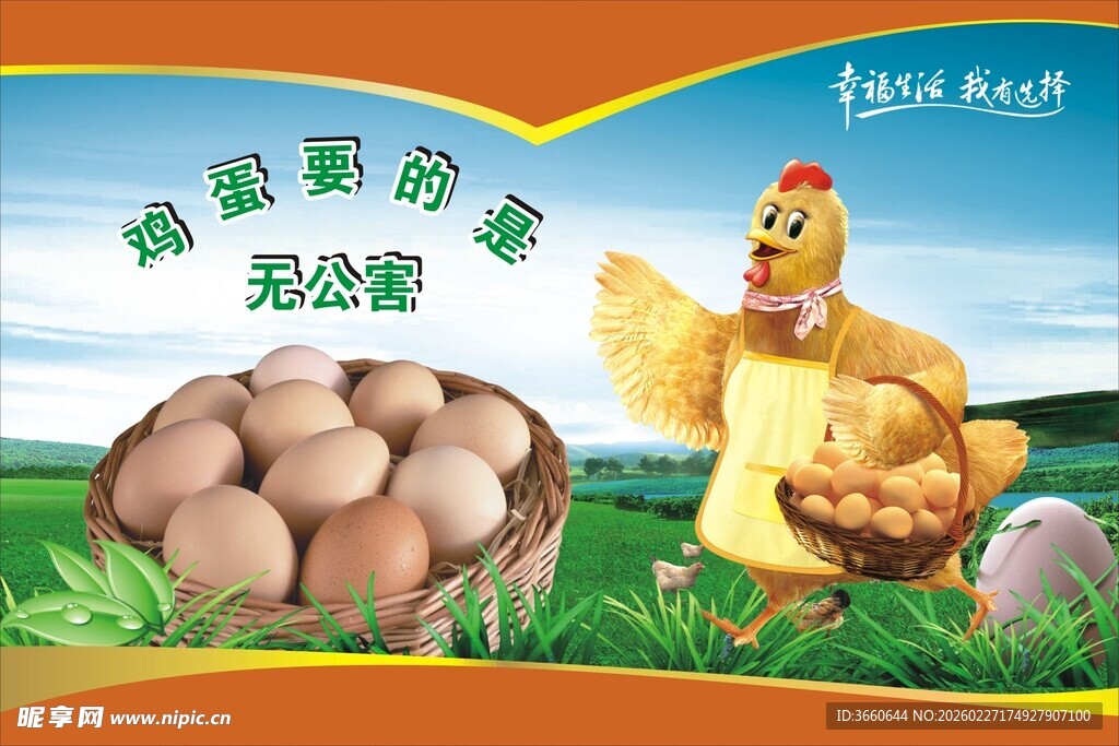 母鸡孵蛋场景
