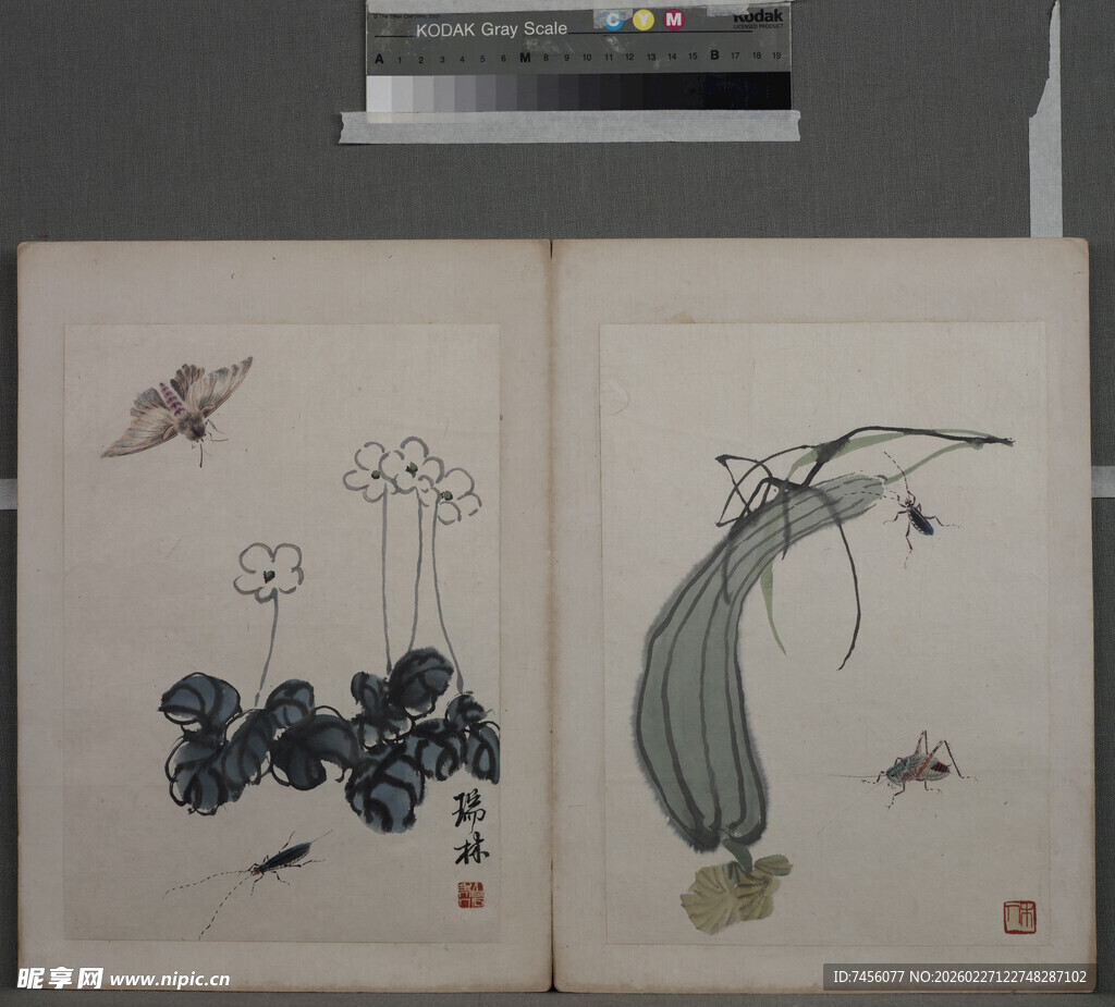 传统花鸟草虫国画局部