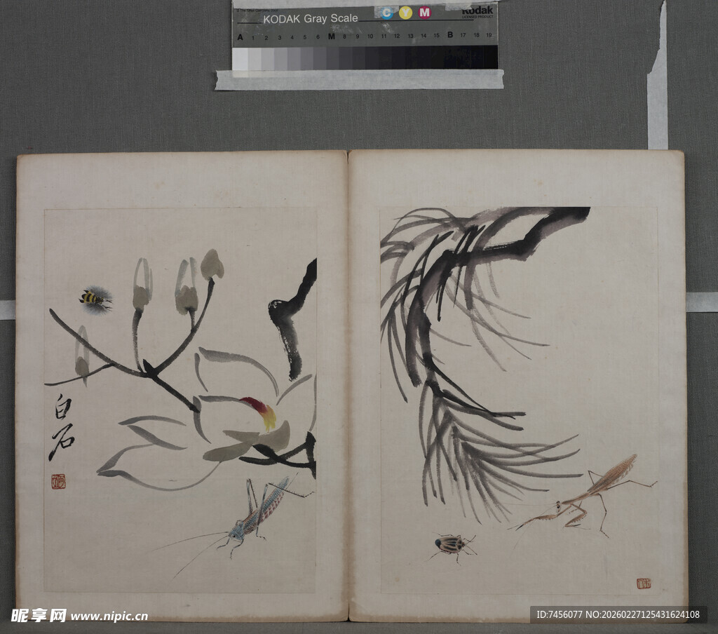 花鸟写生册页