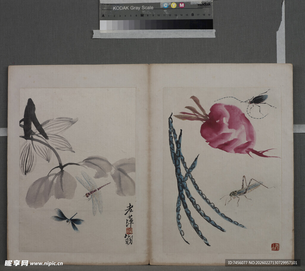 传统手绘花鸟蔬果图