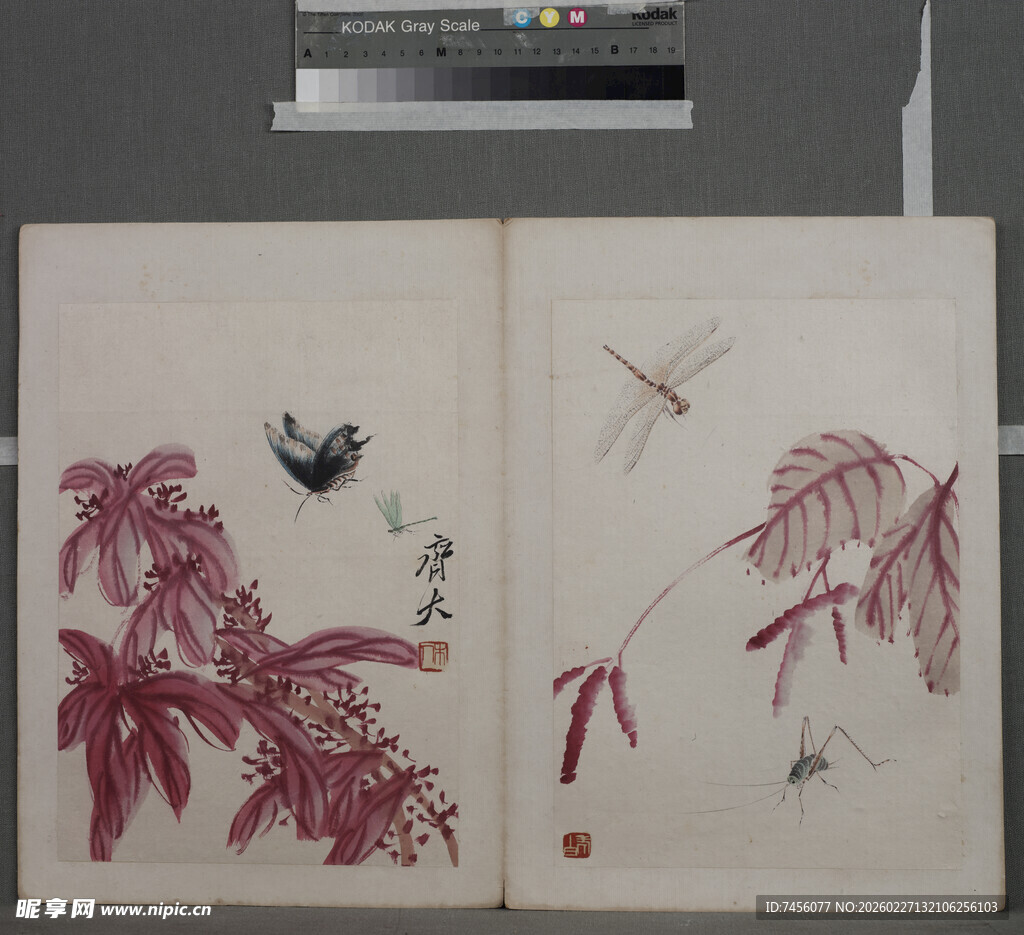 水墨花鸟册页雅致古韵