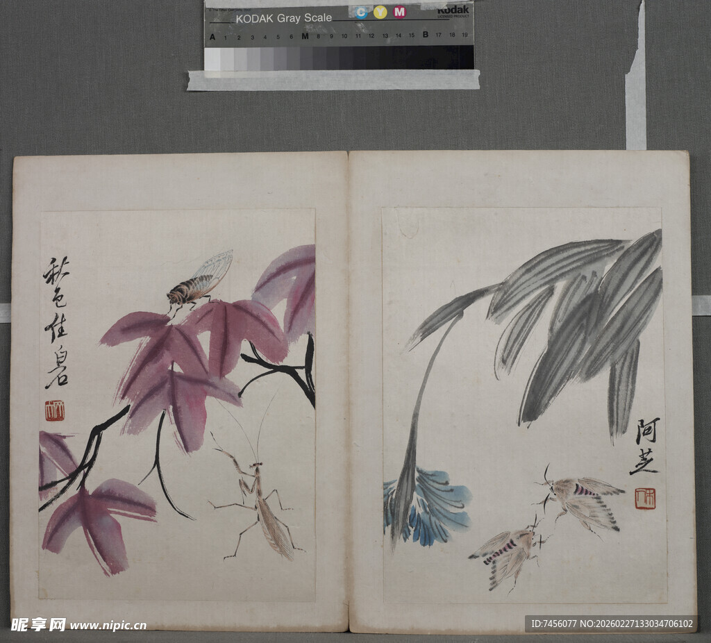 古画册花卉禽鸟图