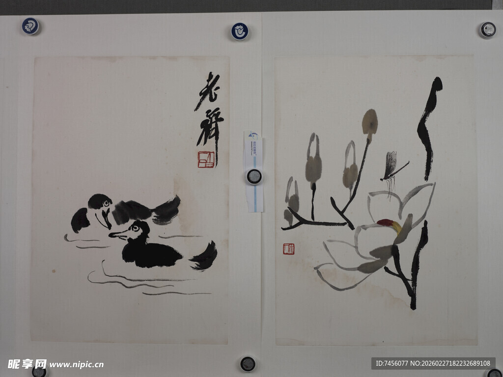 齐白石水墨花鸟画作展示