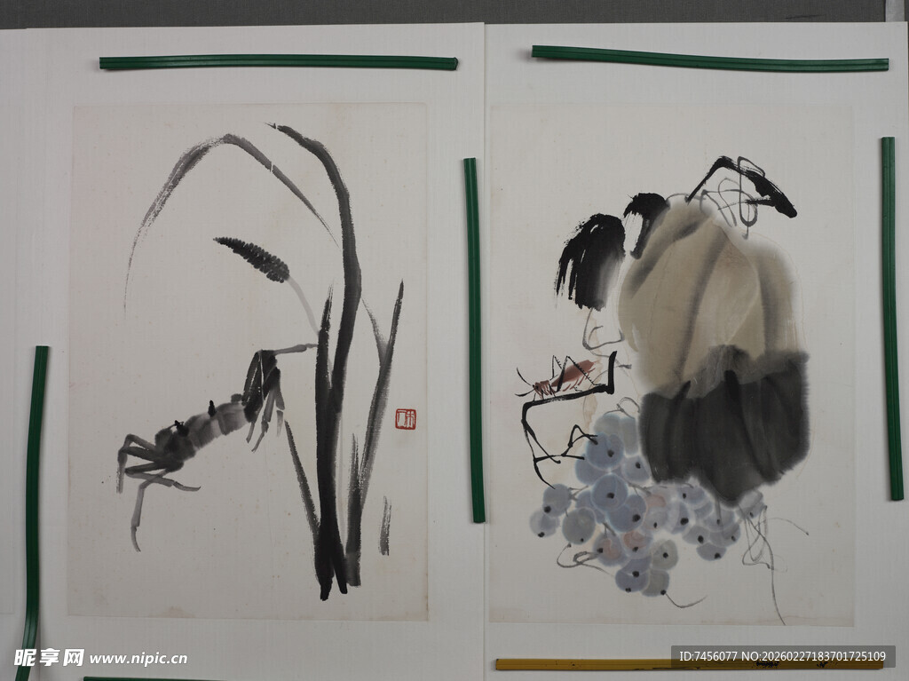齐白石水墨花鸟国画作品展示