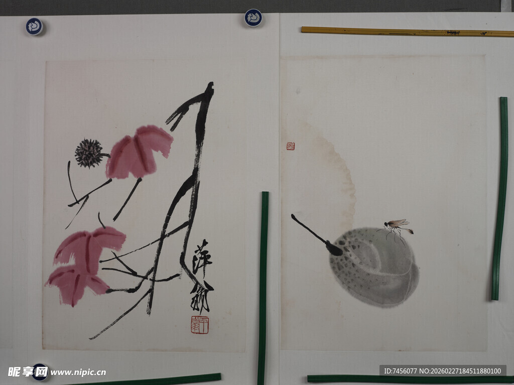 齐白石水墨花卉画作展示