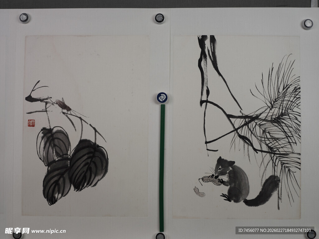 齐白石水墨花鸟画作展示