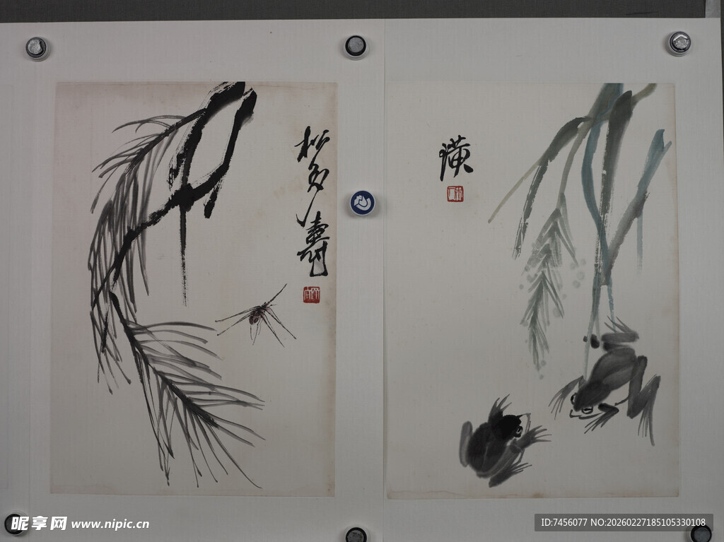 齐白石水墨虾趣图