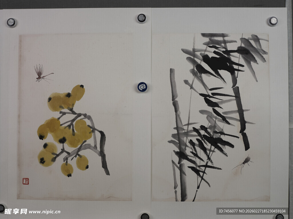 齐白石水墨花鸟竹枝画作欣赏