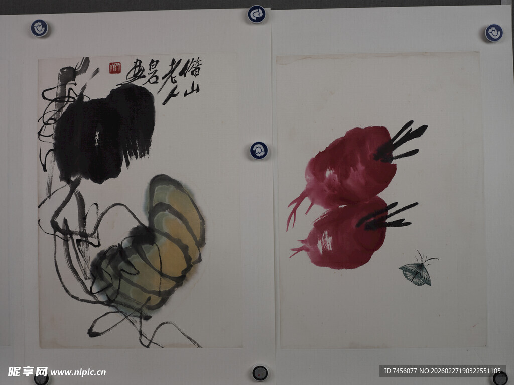 齐白石水墨风蝴蝶绘画作品展示