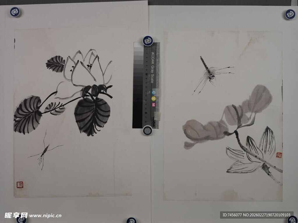 齐白石水墨花卉昆虫画作