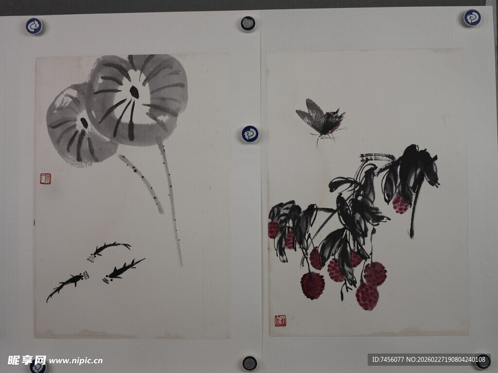 齐白石水墨花鸟国画作品展示