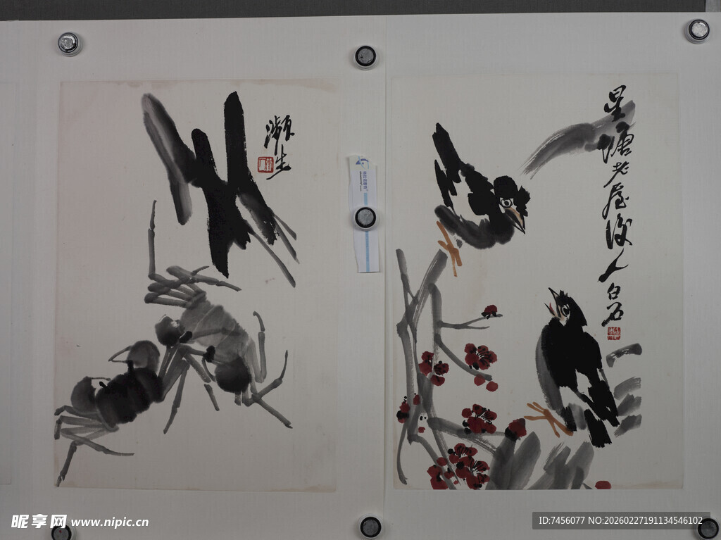 水墨花鸟画作展示