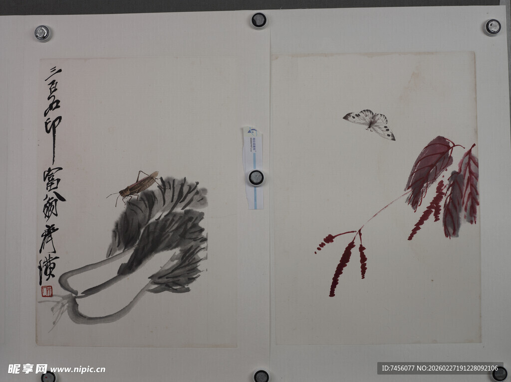 水墨蔬果画作展示