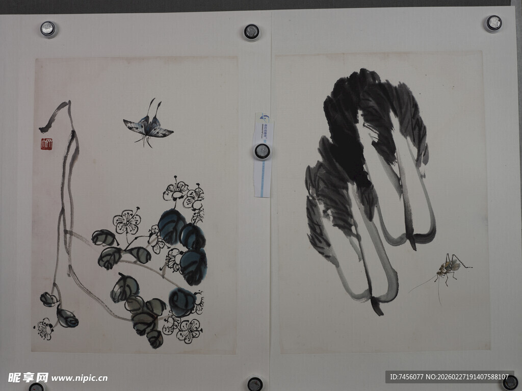 水墨花鸟蔬果画作展示