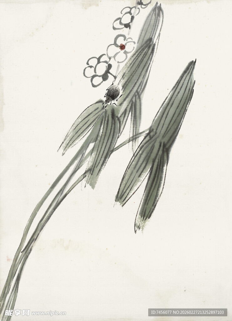 齐白石手绘铃兰花枝