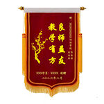 锦旗  送老师  送医生  
