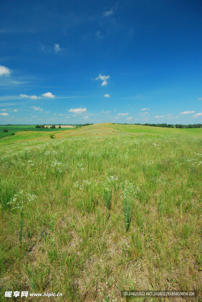 广袤草原