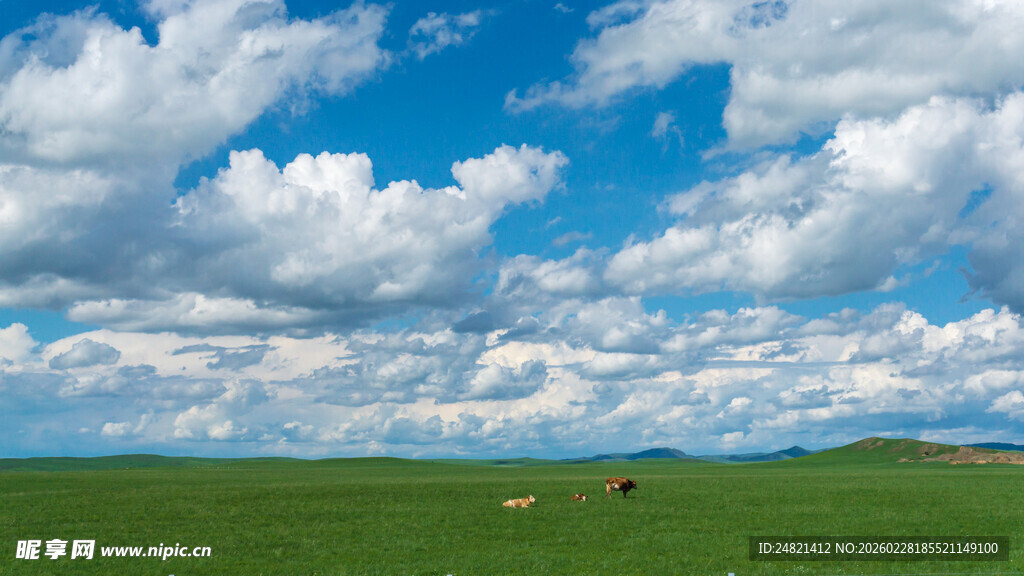 草原蓝天美景