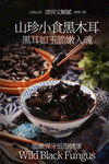 山珍小黑木耳天然美味海报