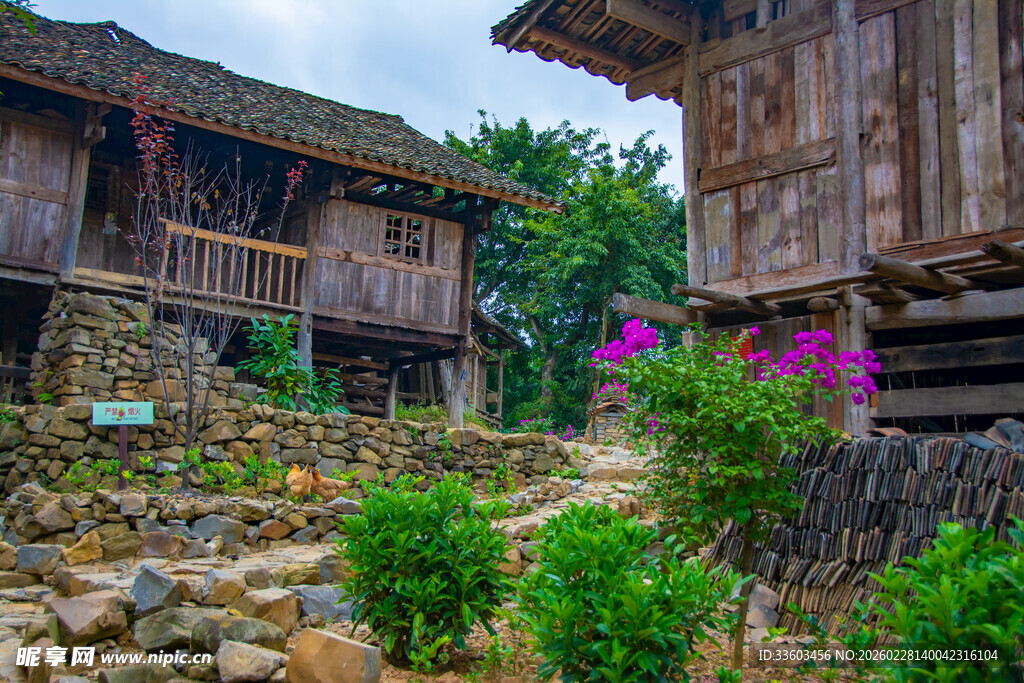 古朴木屋旁的绿植与繁花