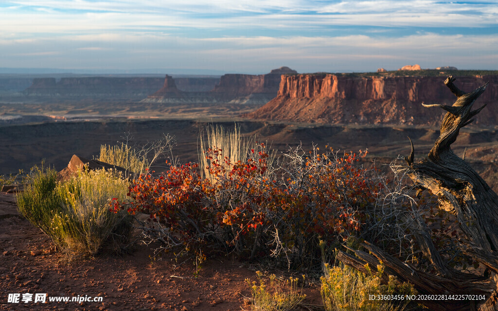 壮丽峡谷边的多彩植被景观