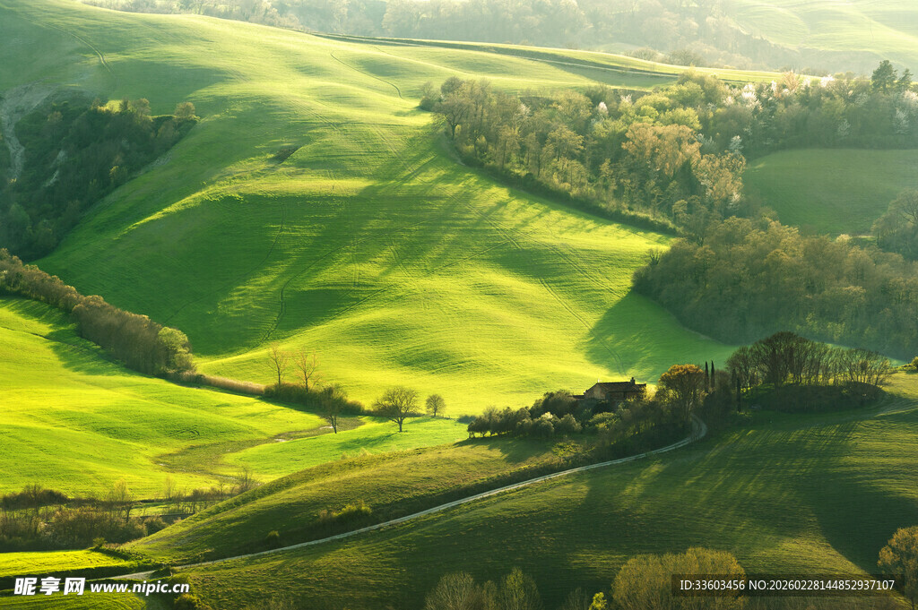 翠绿山丘田园风光美景