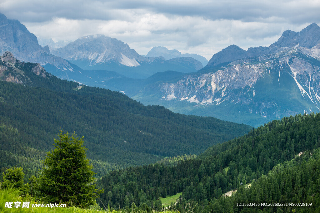 山峦叠翠的壮美山林景观