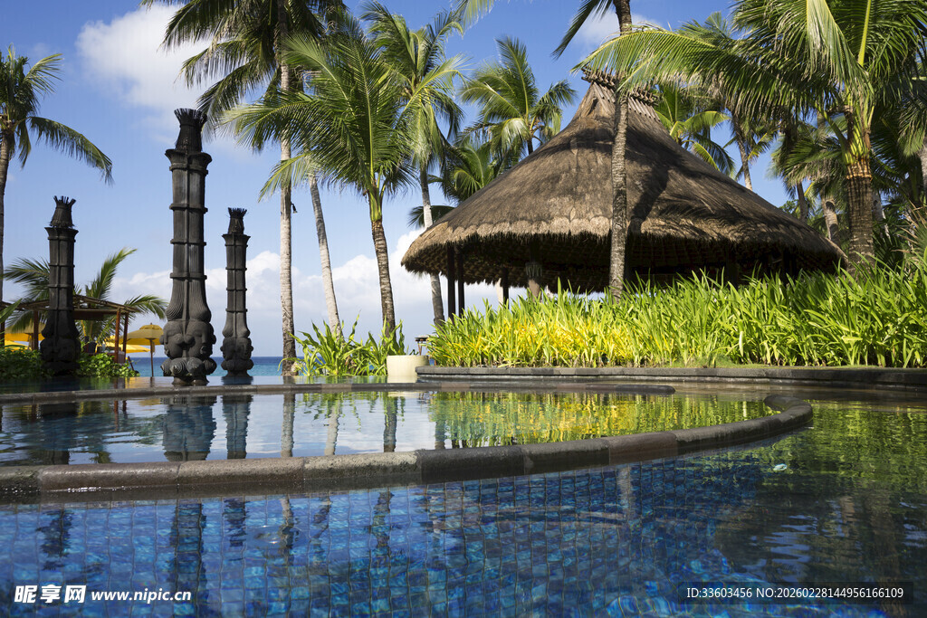 热带泳池旁的茅草屋景观