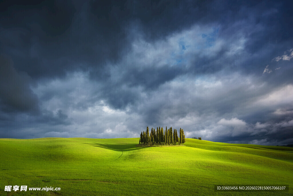 草原上的乌云与树木景观