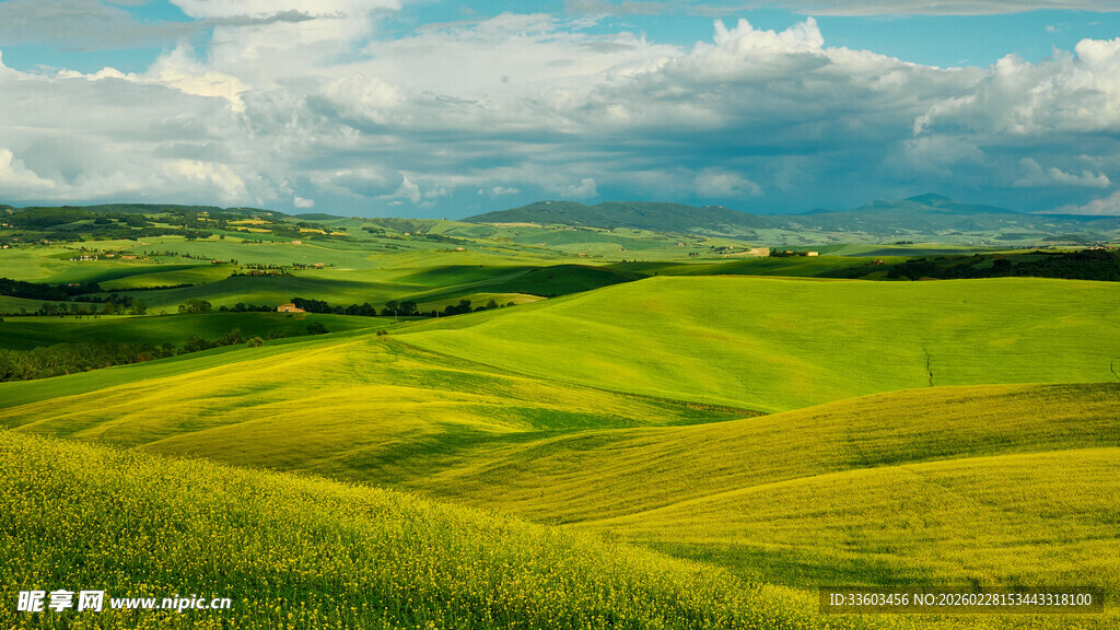广袤绿野田园风光美景