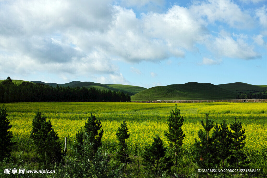 草原绿野风光