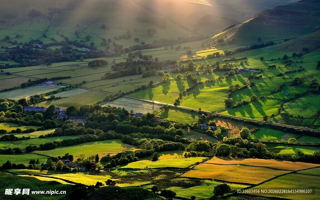 田园晨光下的翠绿田野