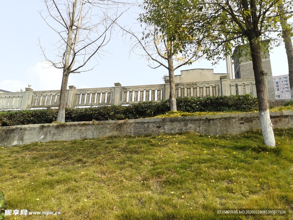 户外草地树木景观