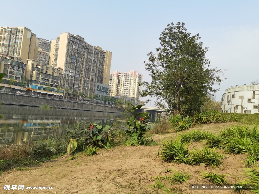 城郊绿植与高楼景观