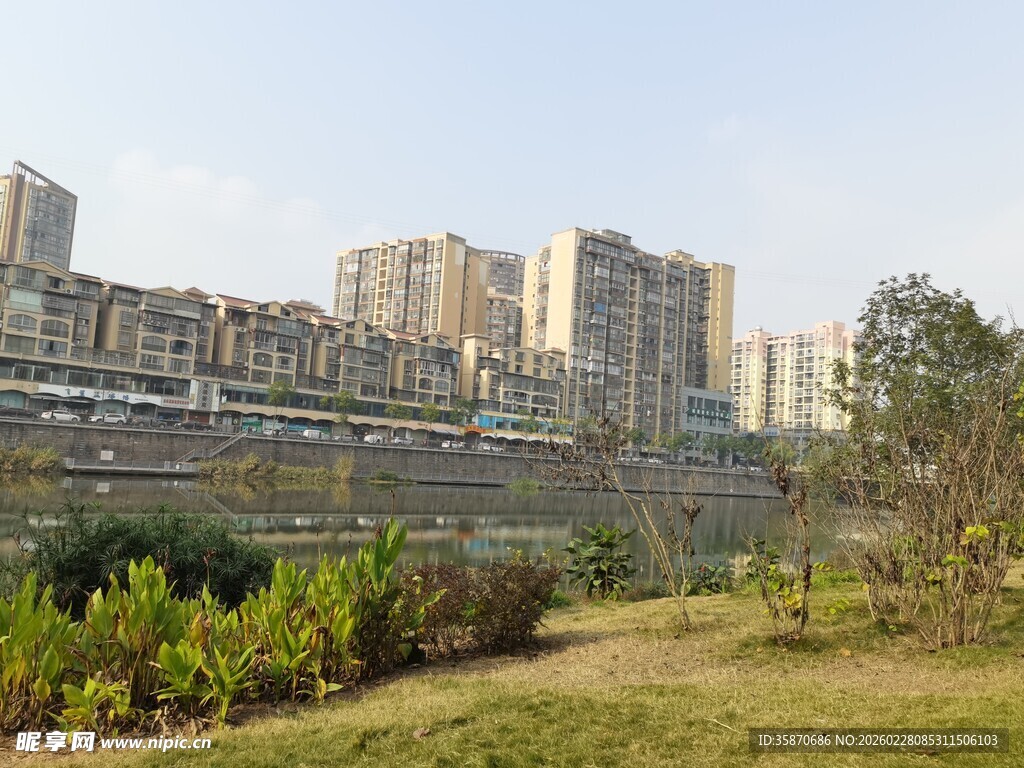 城市住宅区旁的绿地景观