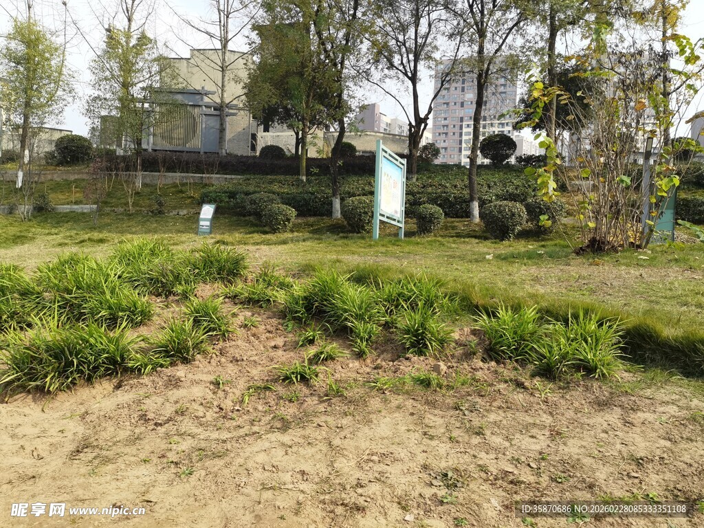 户外草地与树木景观