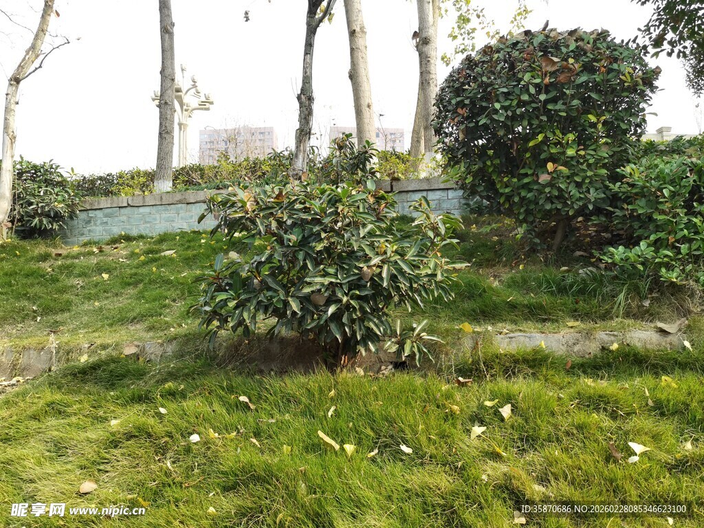 绿意盎然的园林景观