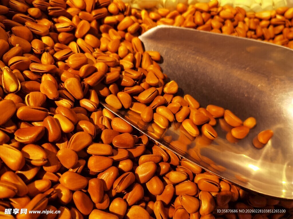 金属铲中的松子