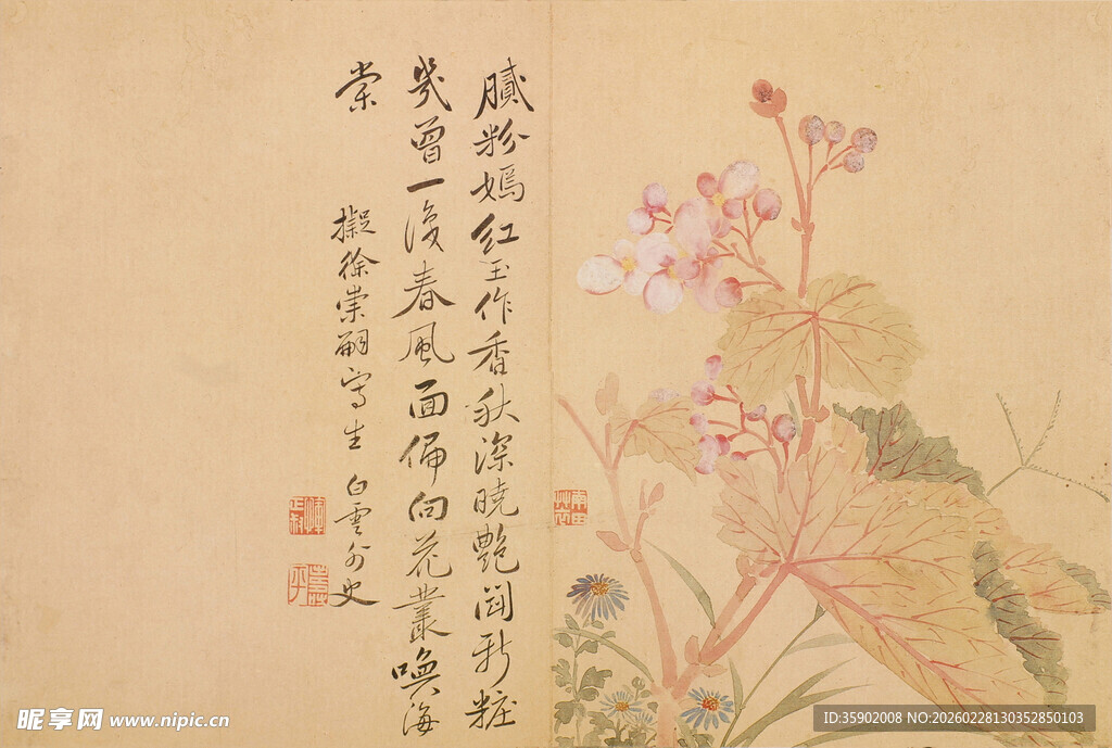 恽寿平水墨花卉图