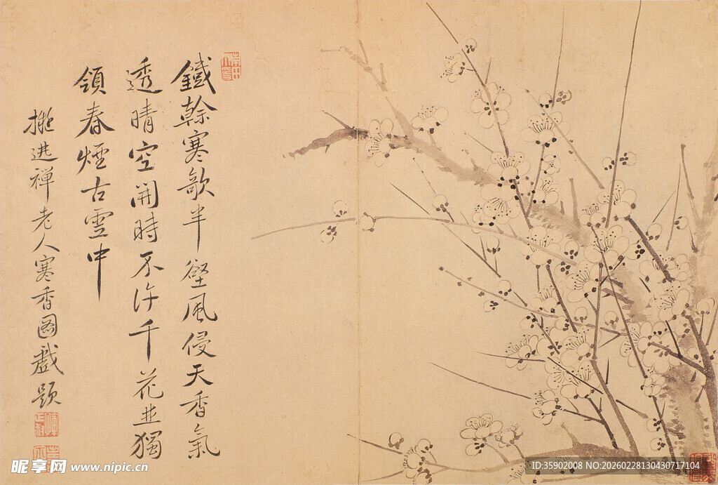 恽寿平水墨枝头图