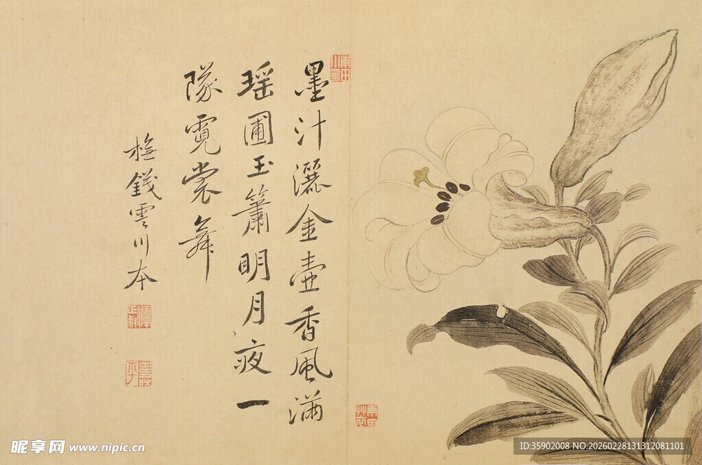 恽寿平水墨花卉书法图