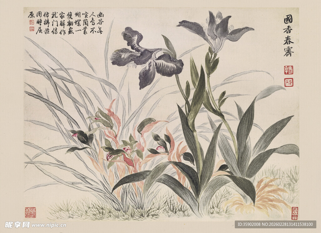 恽寿平水墨兰花图