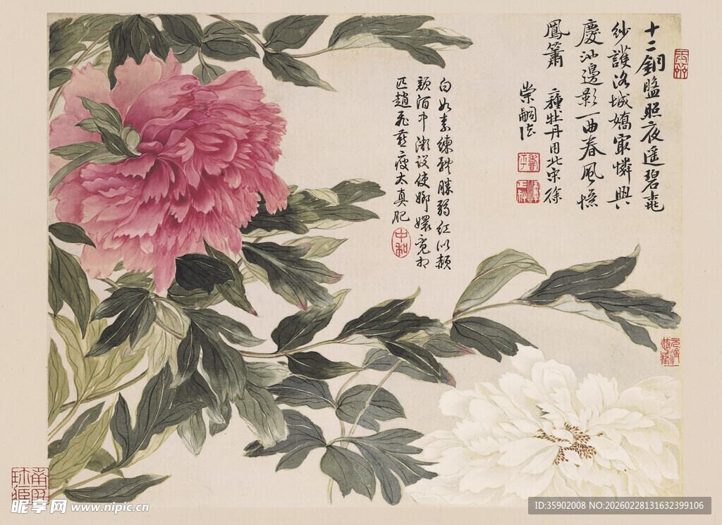 恽寿平国画牡丹图