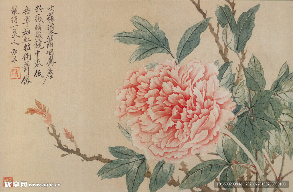 恽寿平国画牡丹图