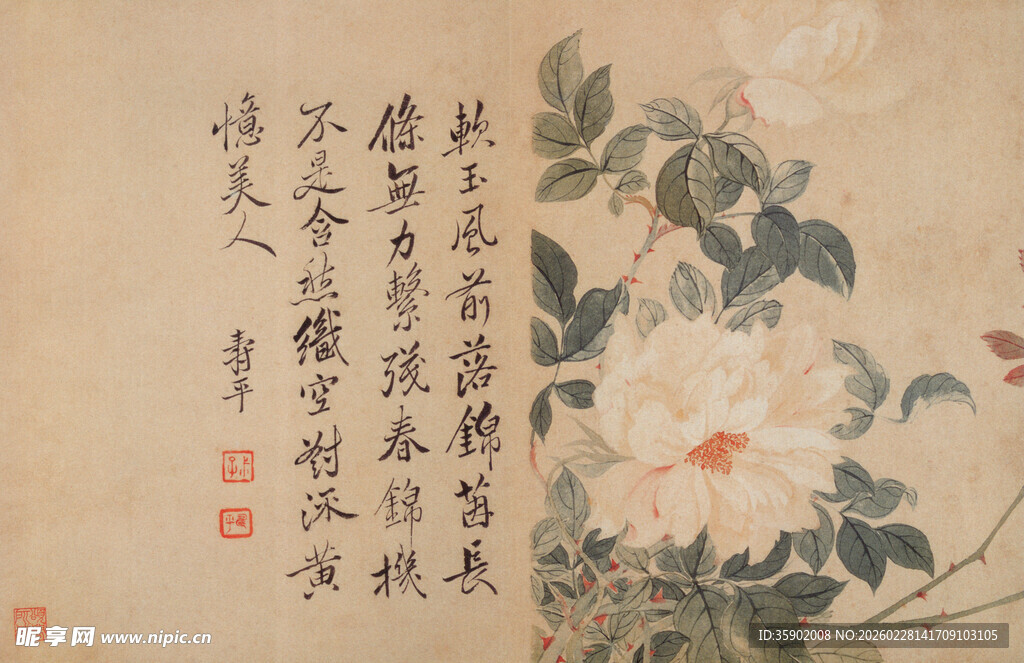 恽寿平水墨花卉图