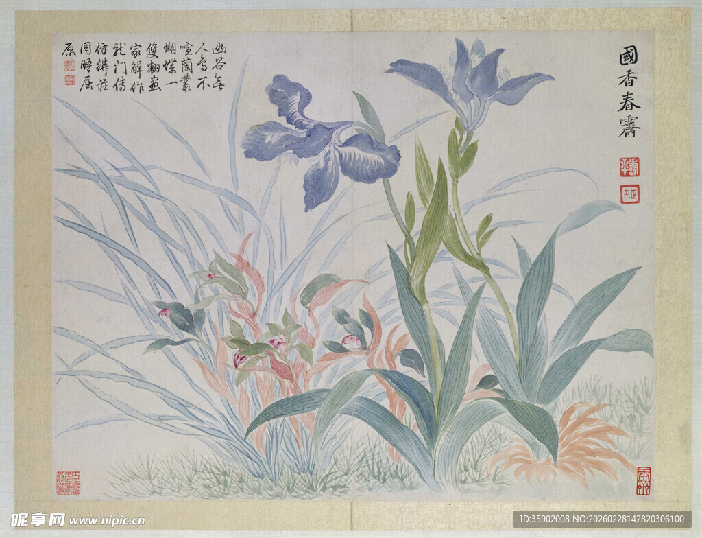 恽寿平水墨鸢尾图