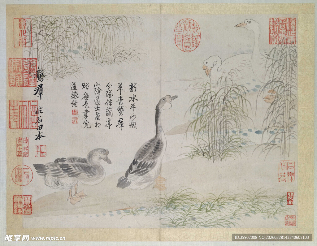 恽寿平古画中的鸭与花卉景致