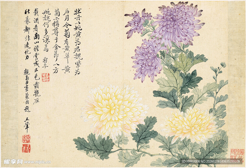 恽寿平国画菊花图赏