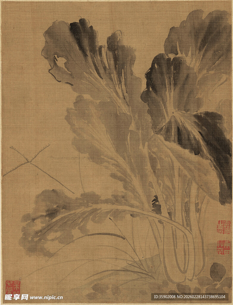 恽寿平水墨白菜图